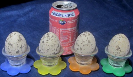 SOPORTE FLOR HUEVOS DECORACION (1)